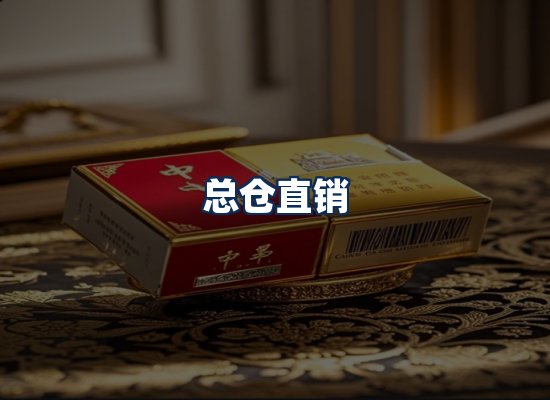 专业团队办公环境